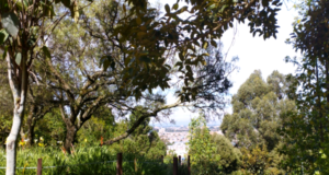 Están ahí, nos perciben, saben de nosotros aunque usted no lo crea