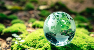 La interdependencia en materia de salud entre las personas, los animales, las plantas y el medio ambiente es innegable