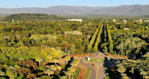 Lugares urbanos que nos ayudan a vivir mejor y buscar otras formas de habitar la ciudad