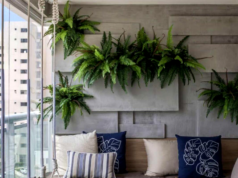 Su belleza, frescura, formas y colores hacen la vida más alegre en nuestros apartamentos