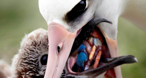 El asunto no puede ser solo dinero, necesitamos que todos podamos vivir en el planeta