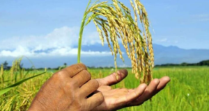 Un efecto global y local que también nos toca a la puerta
