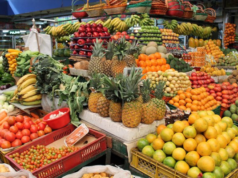 Los frutos del paraíso terrenal que se llama Suramérica