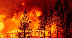 El ciclo del fuego alterado, afecta el ciclo del agua y la vida en general