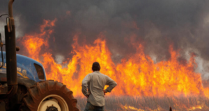 Los incendios, un síntoma del colapso climático anunciado por la ciencia ambiental