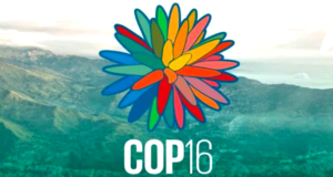 COP, enfrentado el mundo ante su propia realidad económica y ambiental