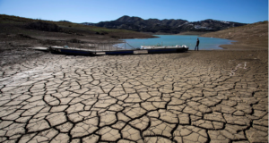 La crisis climática en Suramérica: Un desafío urgente para la seguridad alimentaria y la nutrición