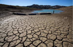 La crisis climática en Suramérica: Un desafío urgente para la seguridad alimentaria y la nutrición
