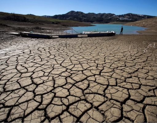 La crisis climática en Suramérica: Un desafío urgente para la seguridad alimentaria y la nutrición
