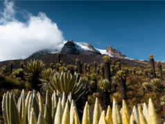 El Deshielo de los Glaciares: Una Amenaza Global para el Agua y las Comunidades