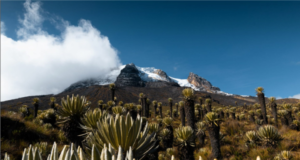 El Deshielo de los Glaciares: Una Amenaza Global para el Agua y las Comunidades