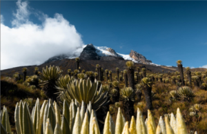 El Deshielo de los Glaciares: Una Amenaza Global para el Agua y las Comunidades
