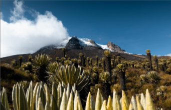 El Deshielo de los Glaciares: Una Amenaza Global para el Agua y las Comunidades