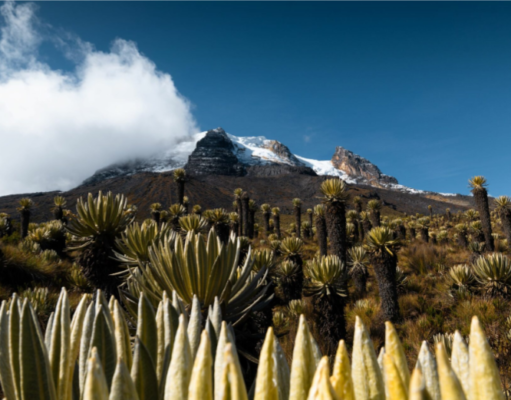 El Deshielo de los Glaciares: Una Amenaza Global para el Agua y las Comunidades