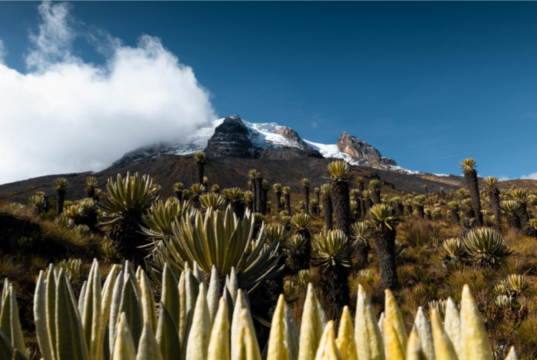 El Deshielo de los Glaciares: Una Amenaza Global para el Agua y las Comunidades
