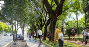 La ciudad vista a 30 kilómetros por hora.