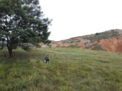 A pedal y coraje: La subida al árbol solitario