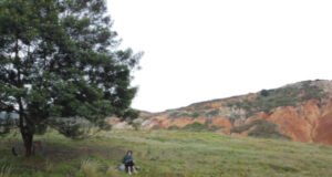 A pedal y coraje: La subida al árbol solitario