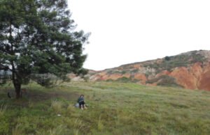 A pedal y coraje: La subida al árbol solitario