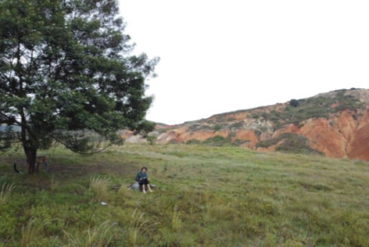 A pedal y coraje: La subida al árbol solitario