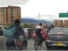 Los animales también están aprendiendo a vivir en nuestra ciudad