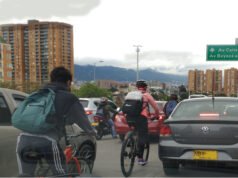 Los animales también están aprendiendo a vivir en nuestra ciudad