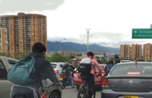Los animales también están aprendiendo a vivir en nuestra ciudad