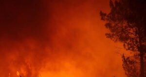 El planeta está ardiendo… y Colombia ya siente el calor