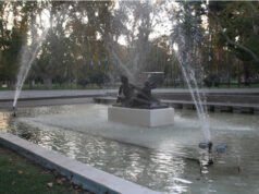 A la sombra de los árboles: pedalear la ciudad