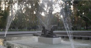 A la sombra de los árboles: pedalear la ciudad