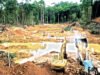 El oro que brilla… y el río que desaparece