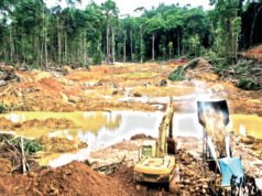 El oro que brilla… y el río que desaparece