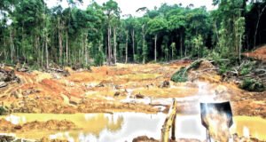 El oro que brilla… y el río que desaparece