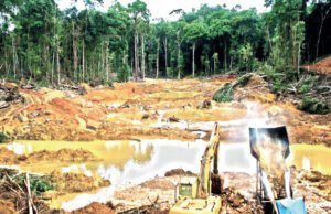 El oro que brilla… y el río que desaparece
