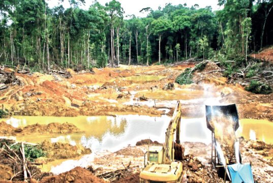 El oro que brilla… y el río que desaparece