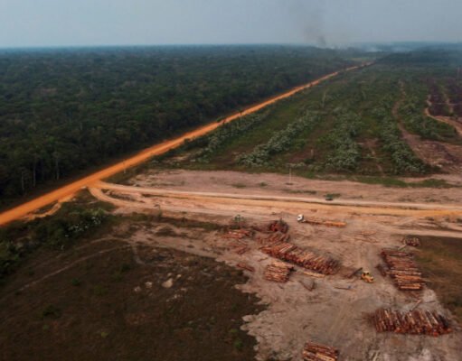 La humanidad progresa a toda velocidad… hacia el precipicio