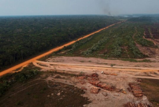 La humanidad progresa a toda velocidad… hacia el precipicio